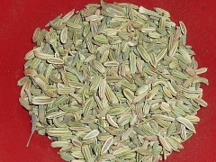 Chá de Funcho, sementes