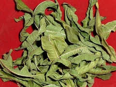 Lemon Verbena, whole leaves