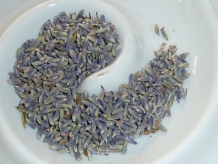 Lavender, petals, Provence