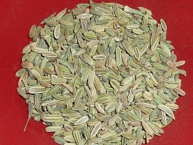 Fennel tea, seeds