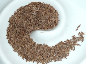 Caraway seeds, whole
