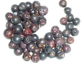 Juniper berries, whole