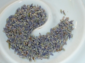 Lavendelblütenblätter, gerebelt, Provence